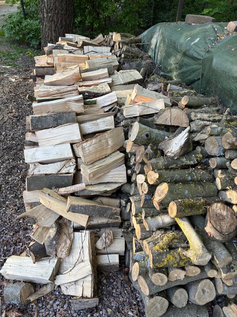 Esdoornhout brandhout - 1m³ €100,- per kuub, 3 tot 6 m³, Ophalen, Overige houtsoorten, Blokken