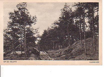 Ansichtkaart	Veluwe	Karreweg, Verzenden, 1940 tot 1960, Gelopen, Gelderland