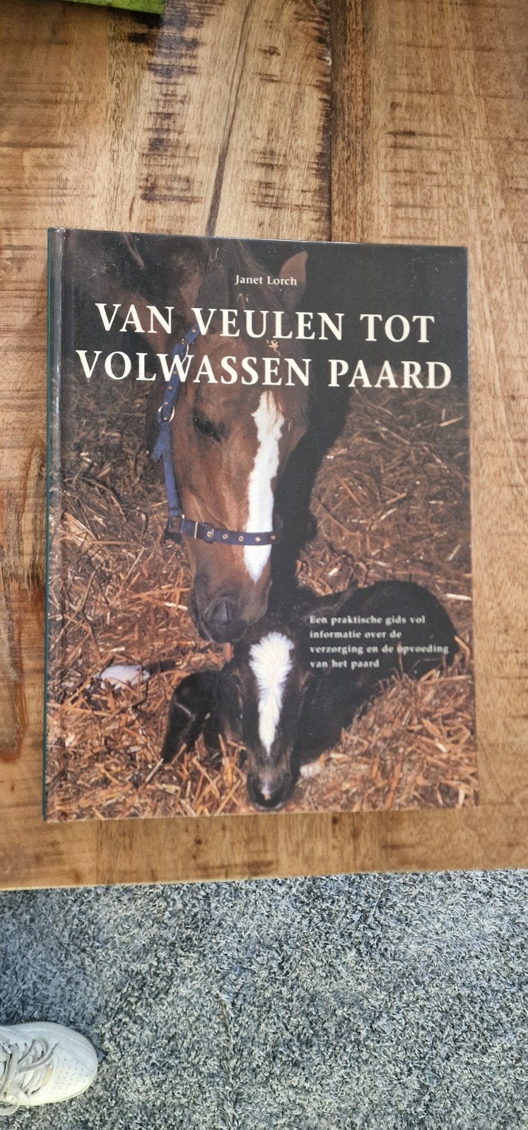 Van Veulen tot Volwassen Paard - Janet Lorch ISBN905020362-3, Ophalen of Verzenden, Zo goed als nieuw, Janet lorch, Paarden of Pony's