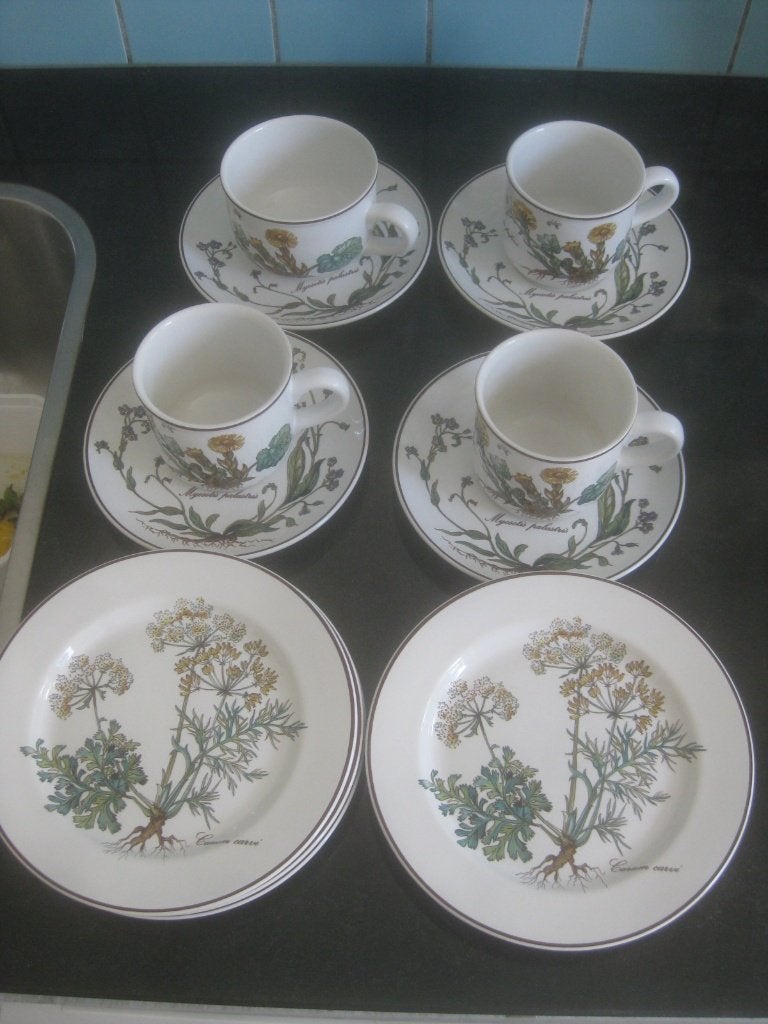 Botanica Villeroy Boch kopje schotel mok myosotis, Huis en Inrichting, Keuken | Servies, Overige materialen, Ophalen of Verzenden