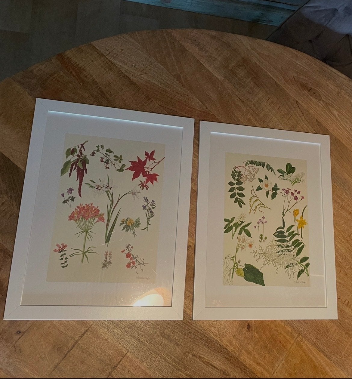 2 IKEA Nyttja fotolijsten met botanische posters, Huis en Inrichting, Kunststof, 43 cm, Ophalen of Verzenden, Zo goed als nieuw