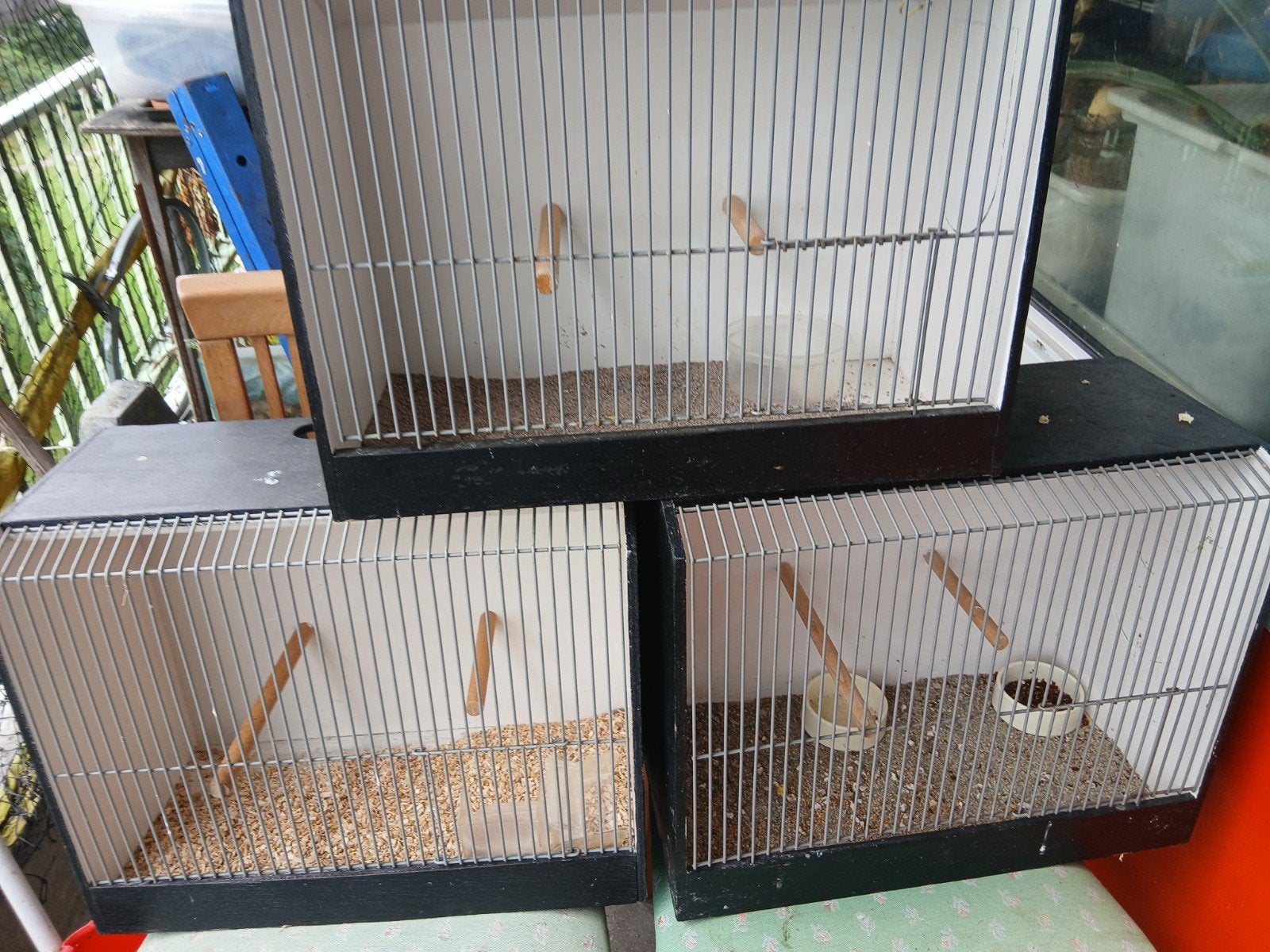 Tekoop TT KOOIEN, Dieren en Toebehoren, Vogels | Hokken en Kooien, Ophalen, Hout, Vogelkooi