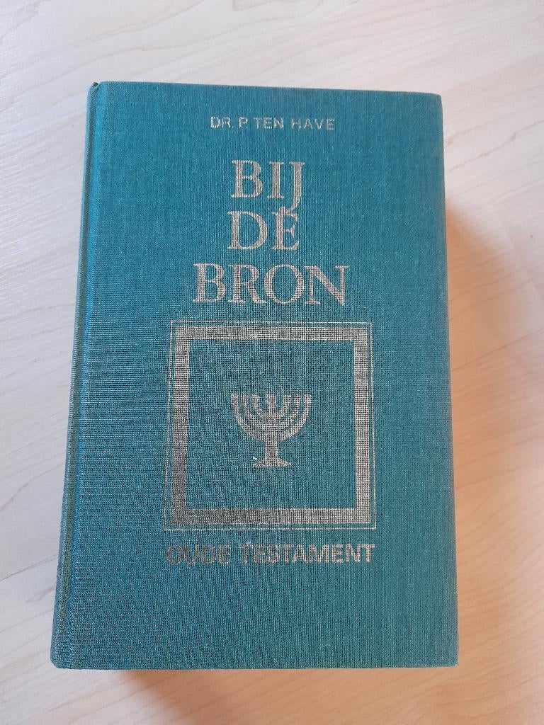 BIJ DE BRON OUDE TESTAMENT P ten Have Ook NIEUWE TESTAMENT, Ophalen of Verzenden, Gelezen