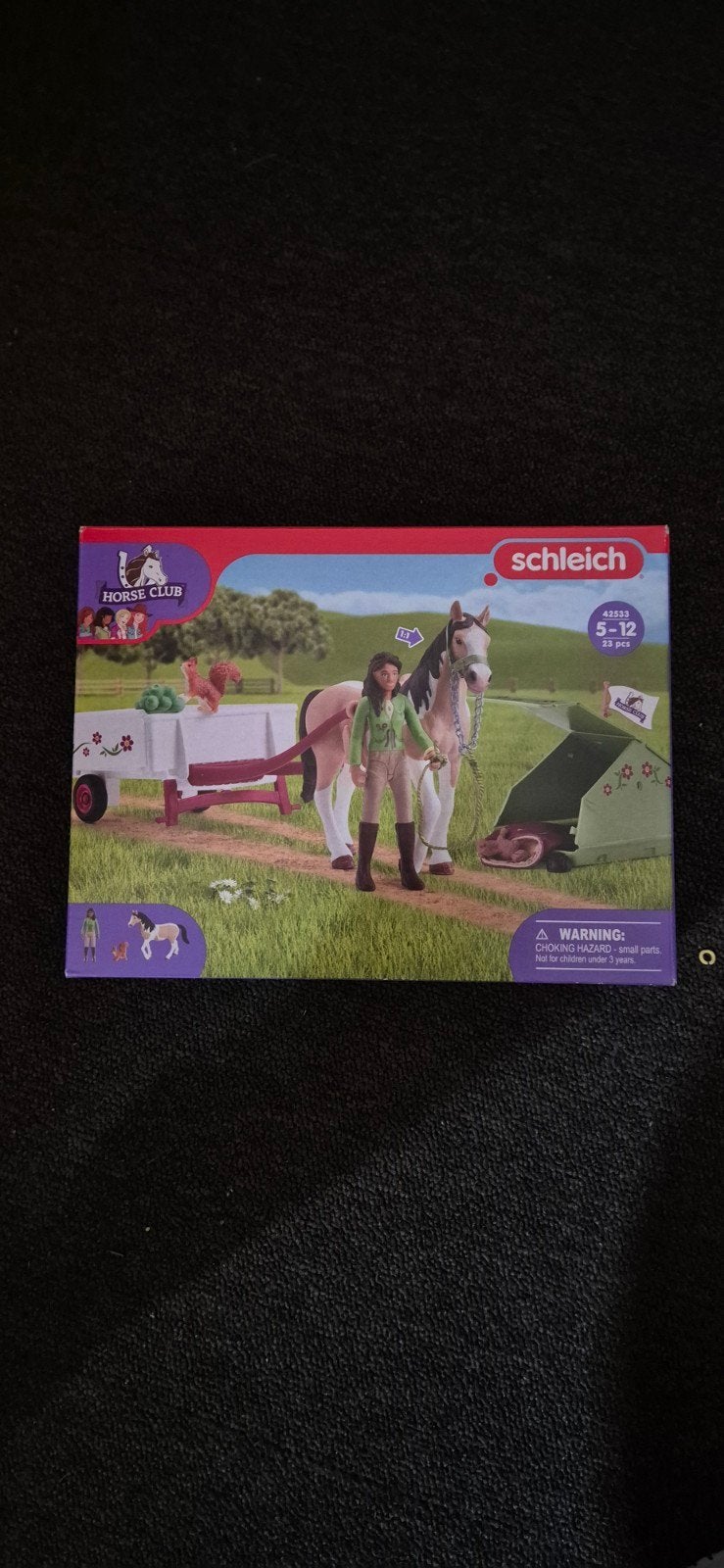 Schleich 42533, Ophalen of Verzenden, Zo goed als nieuw, Jongen of Meisje