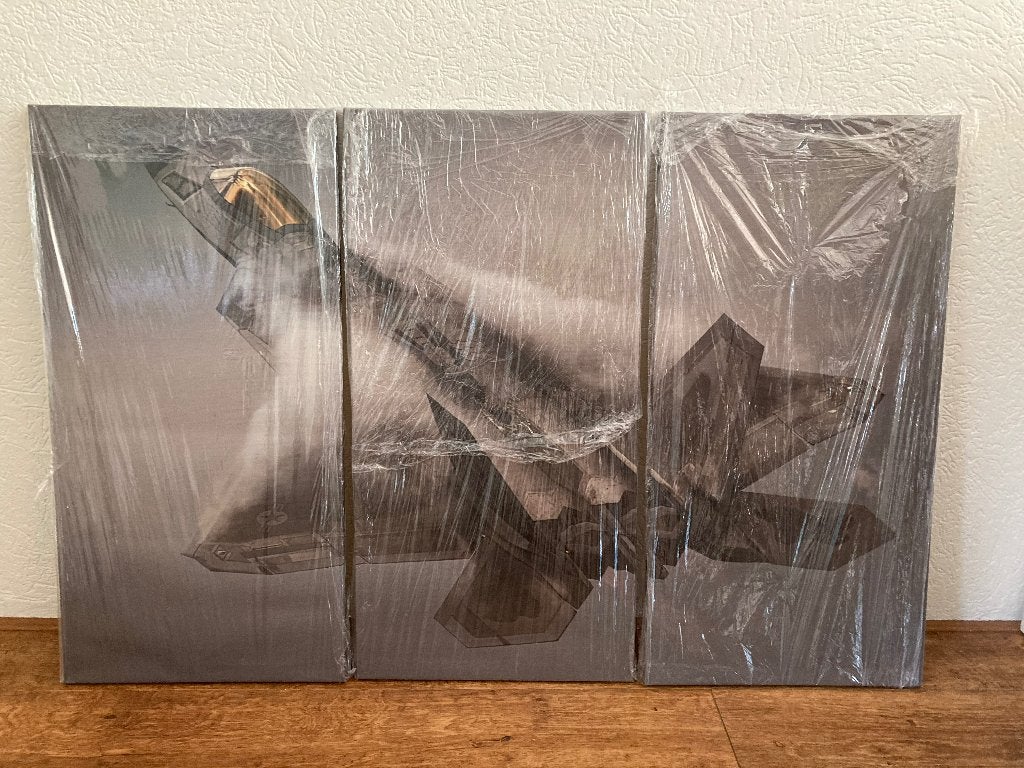 Canvas 3 luik F22 Raptor straaljager, Ophalen of Verzenden, Nieuw, Ophangbaar, Wanddecoratie