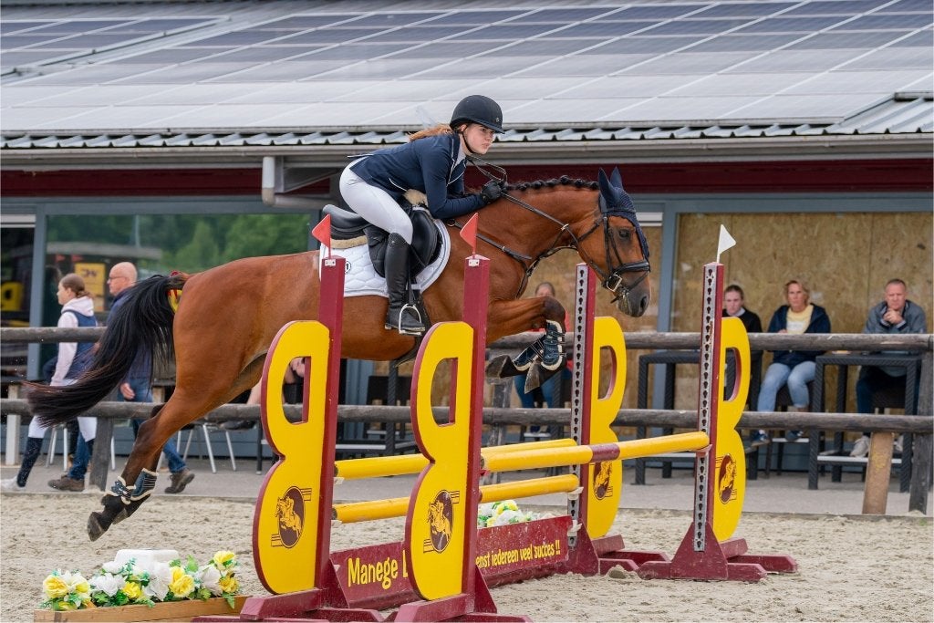 Allround E pony, Dieren en Toebehoren, Pony's, 3 tot 6 jaar, L, Recreatiepony, Merrie