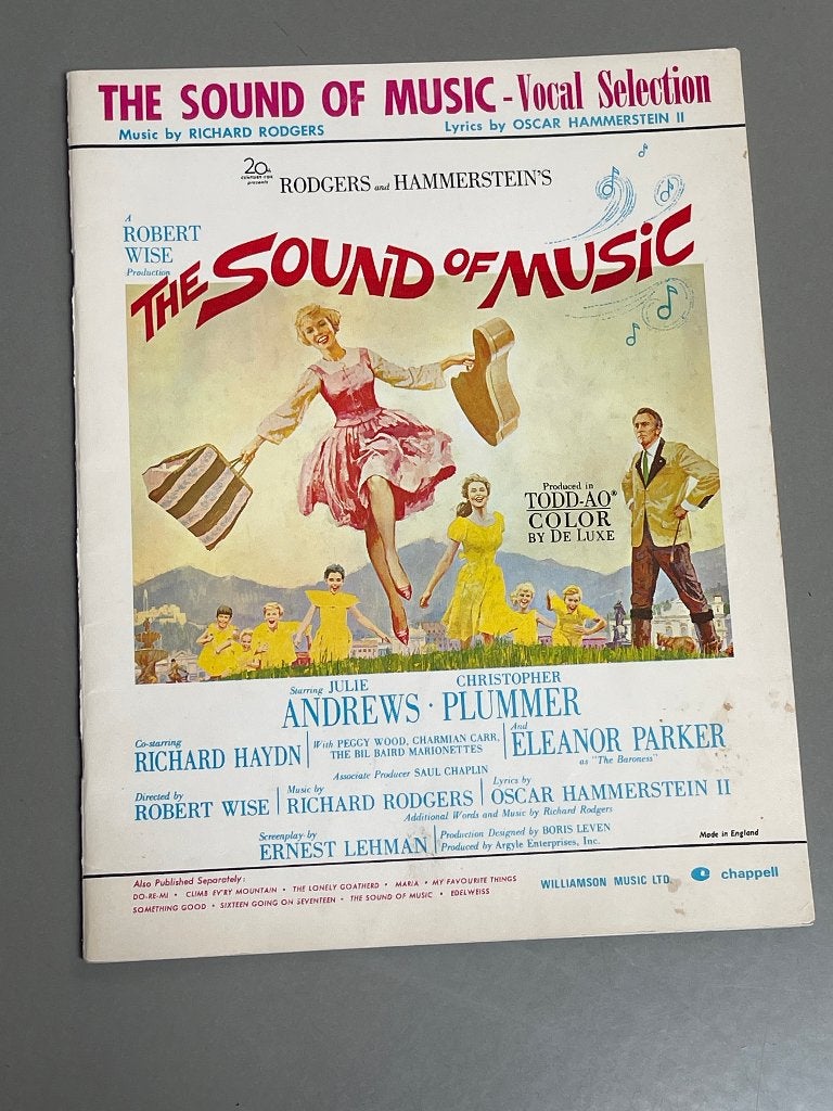 muziek boek, Boeken, Muziek, Zo goed als nieuw, Algemeen, Ophalen of Verzenden