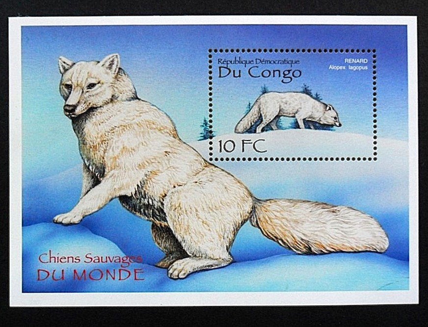 Congo Kinshasa - Hond - Alopex lagopus - Blok luxe pfr 2000, Ophalen of Verzenden, Postfris, Dier of Natuur