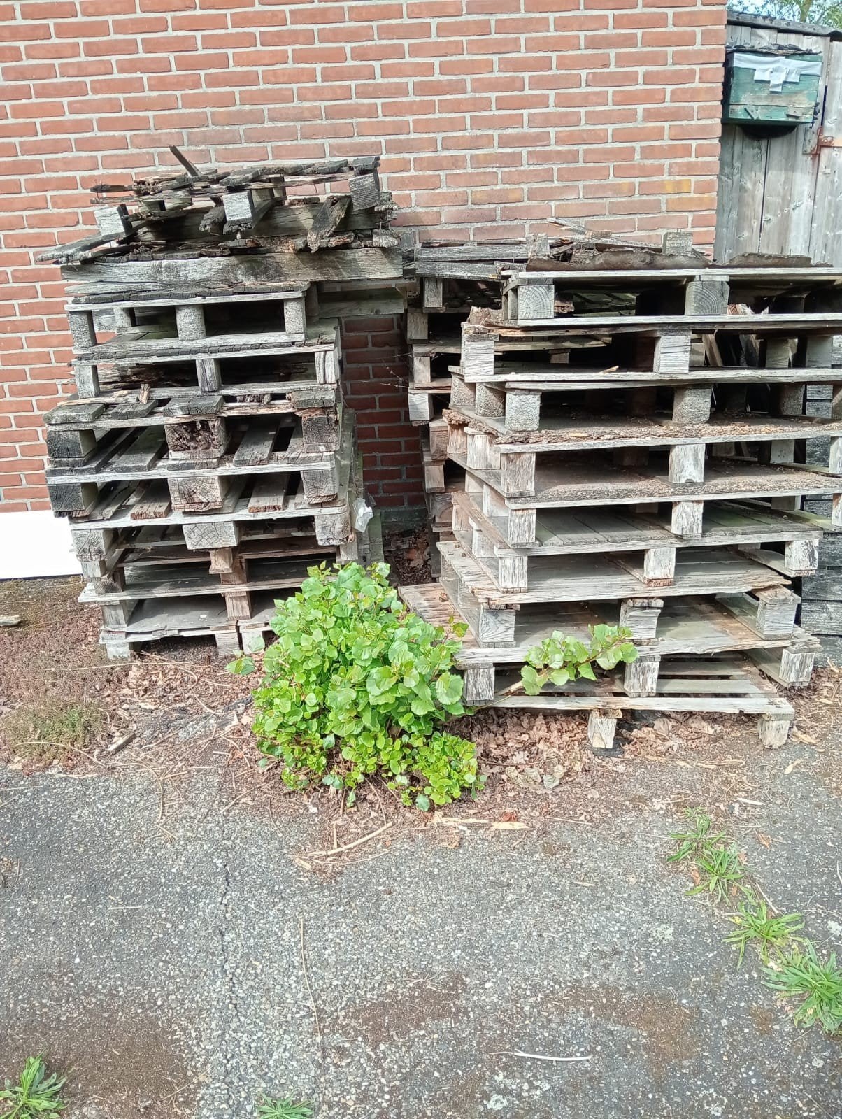 Gebruikte houten pallets voor diverse doeleinden, Ophalen, Gebruikt, Hout, 20 tot 50 mm