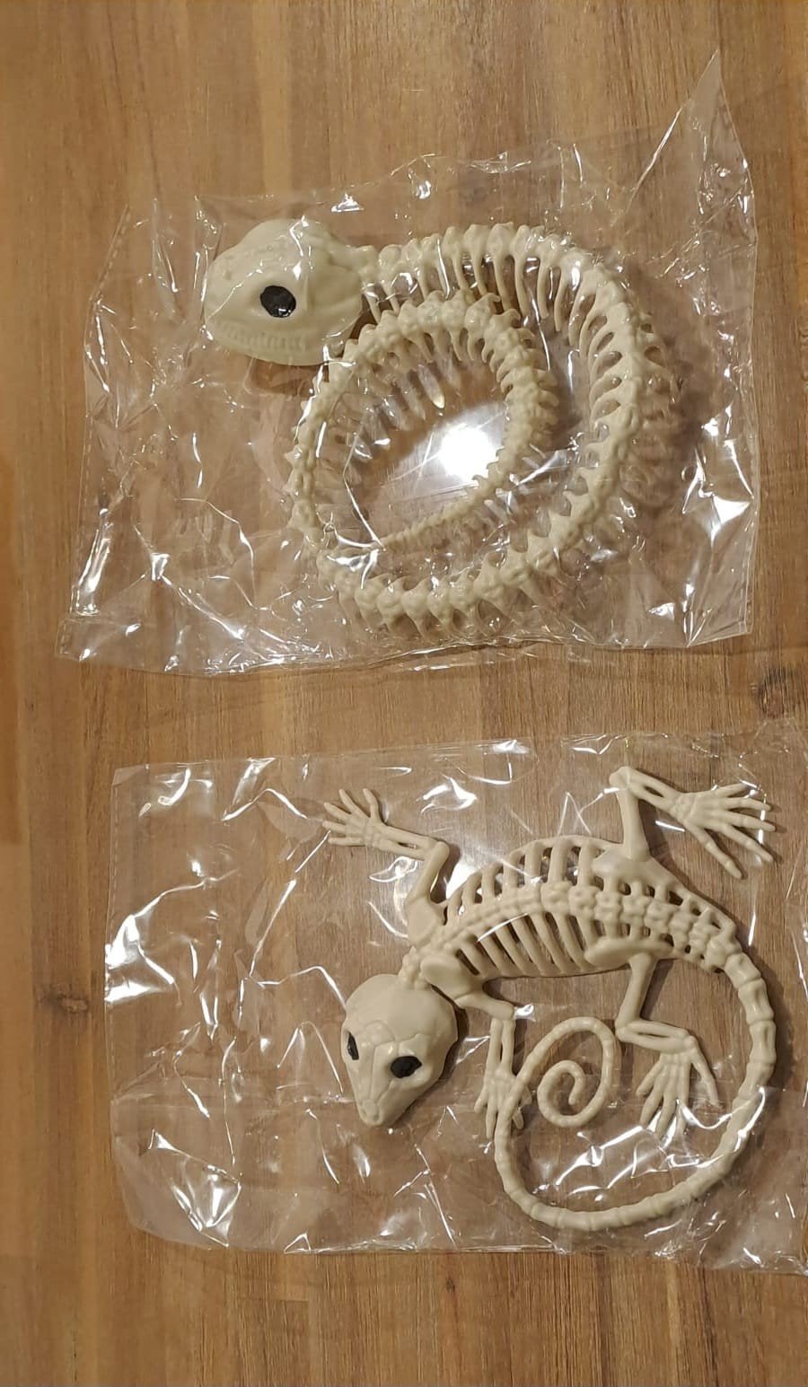 Speelgoed skelet Gekko en Slang, Ophalen of Verzenden, Nieuw, Ontdekken