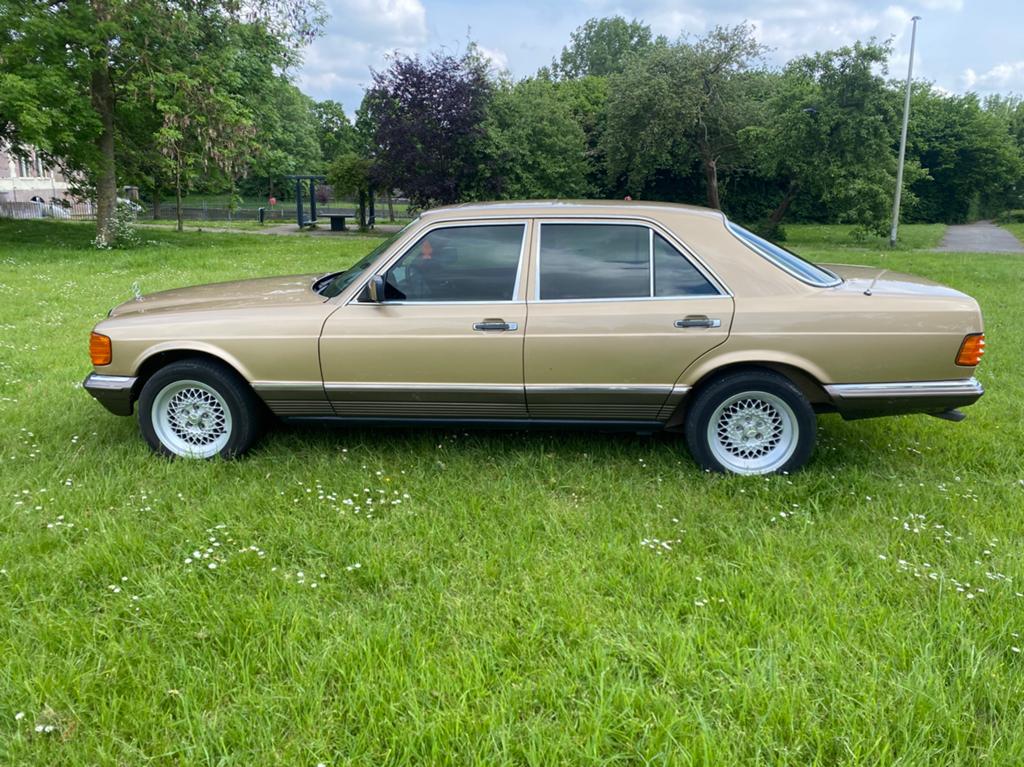 Mercedes-Benz Mercedes 1983 Bruin, Bruin, 2717 cc, Particulier, 1508 kg