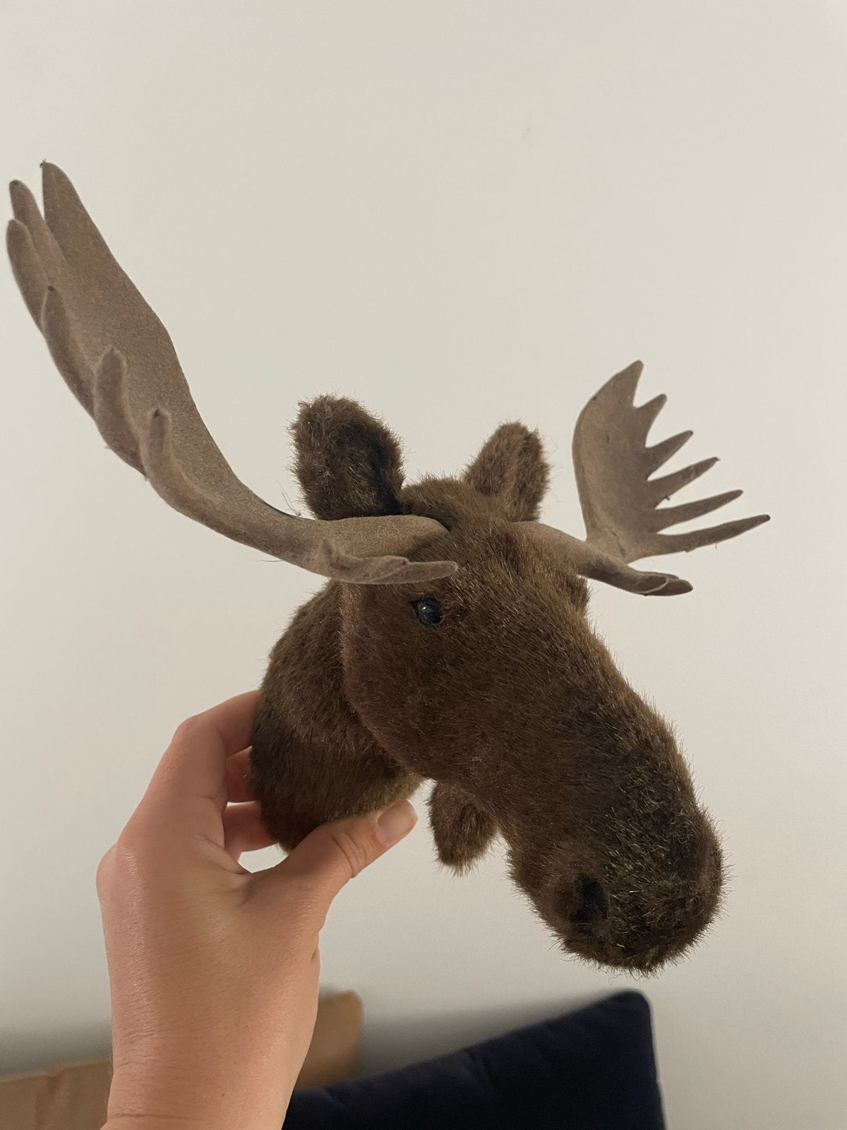 Decoratieve Eland Kop - Zachte Vacht, 15cm, Overige stijlen, Nieuw, Ophalen of Verzenden, Bruin