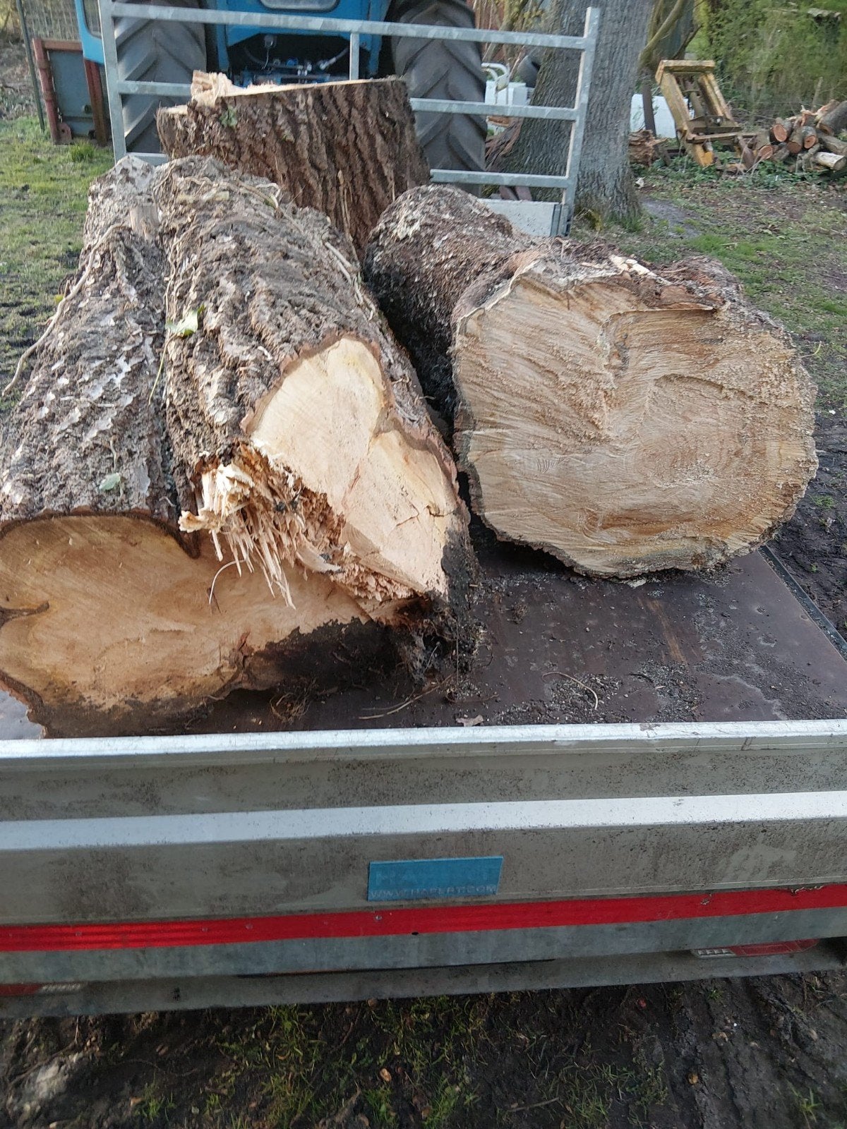 boomstammen/brandhout, Tuin en Terras, Minder dan 3 m³, Ophalen of Verzenden
