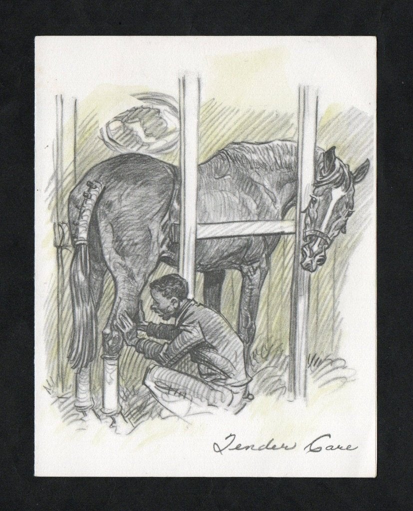 Paard Renpaard Paardensport Verzorging Stal Zender Care., Verzamelen, Ophalen of Verzenden, 1960 tot 1980, Ongelopen, Paard
