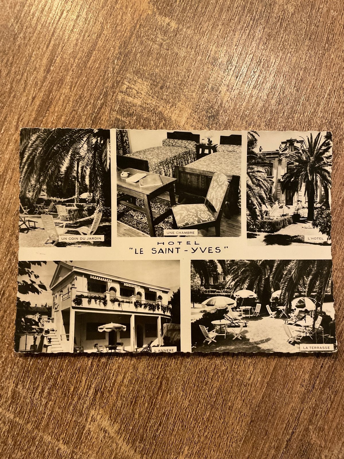 Vintage Ansichtkaart Hotel Le Saint-Yves Cannes Frankrijk, Ophalen of Verzenden, 1940 tot 1960, Ongelopen, Frankrijk