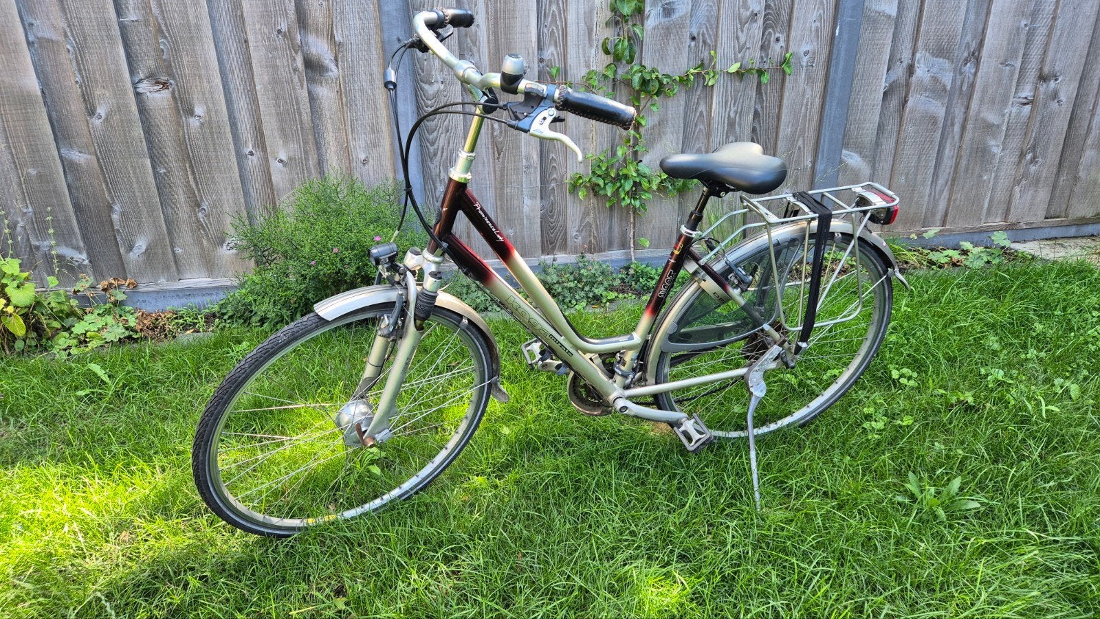 Dames fiets: Koga Miyata prominence Lady, Gebruikt, Velgrem, 47 tot 50 cm, Versnellingen