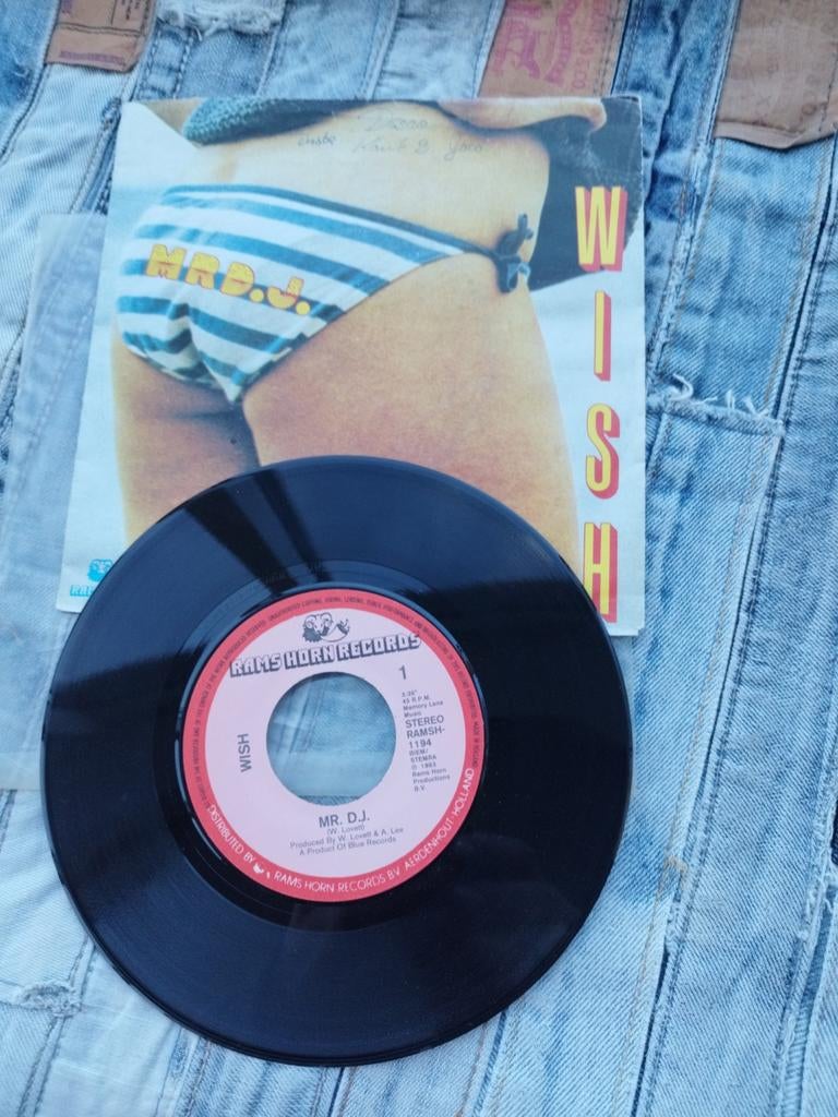 Wish - Mr. DJ. Single, Ophalen of Verzenden