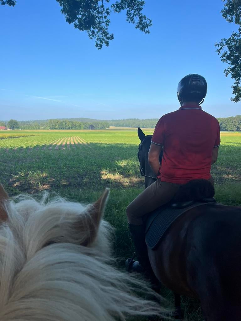 Buitenritten, paardrijden , bosritten Achterhoek, Diensten en Vakmensen, Dieren | Paarden | Verzorging, Oppas en Les