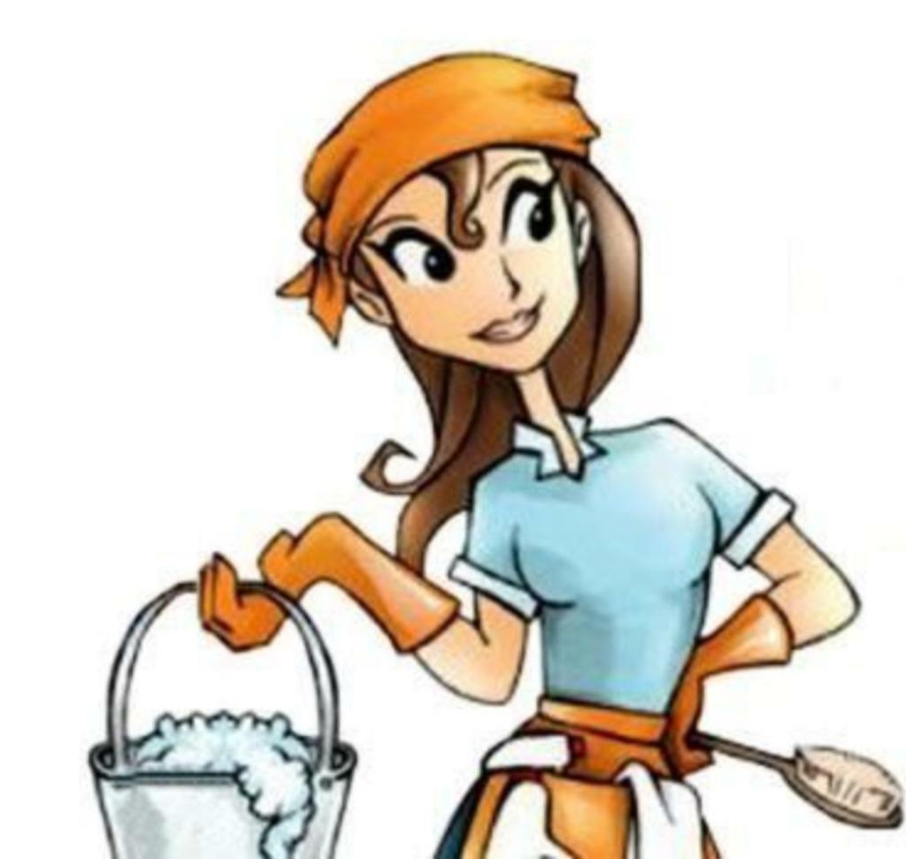 Schoonmaakster/ huishoudelijke hulp, Diensten en Vakmensen, Huishoudelijke hulp, Schoonmaken, Strijken, Wassen