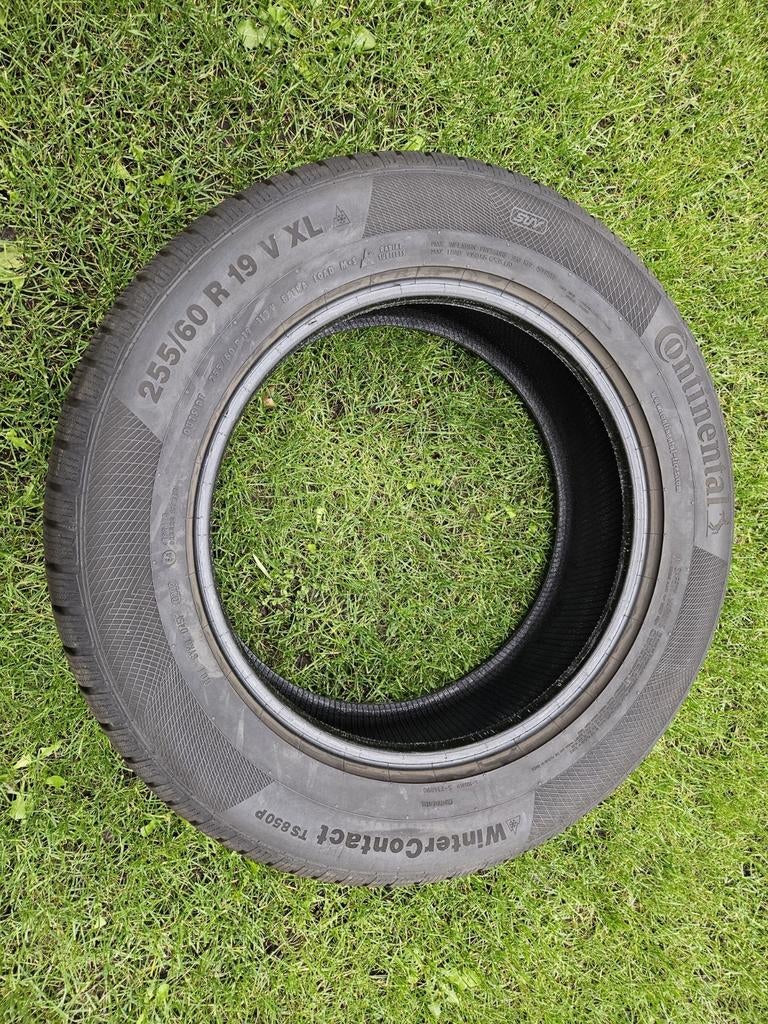 Winterbanden 255/60 R19, Gebruikt, 255 mm, Winterbanden, Band(en)