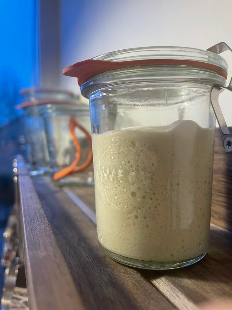 Zuurdesem starter bio tarwe, 5 jr, Ophalen