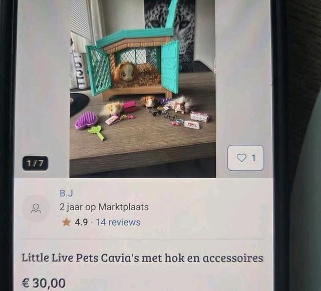 Little live pets cavia, Ophalen of Verzenden, Jongen of Meisje