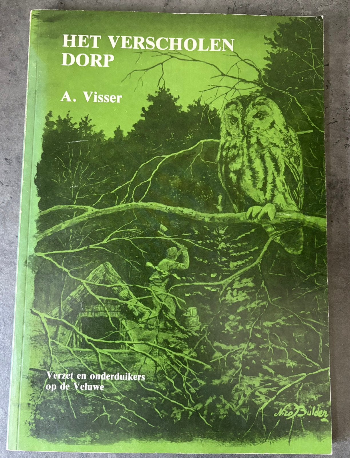 Het verscholen dorp, verzet en onderduikers op de Veluwe, Boeken, Ophalen of Verzenden, Tweede Wereldoorlog, Zo goed als nieuw