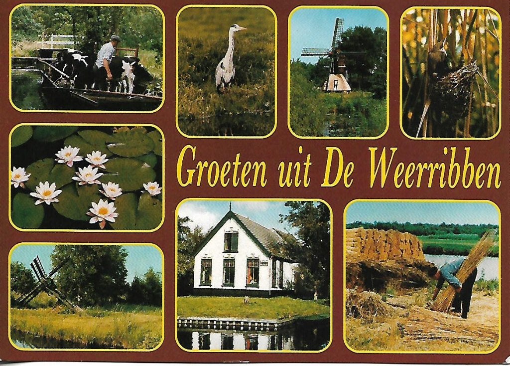Overijssel- -8-luik., Ophalen of Verzenden, 1980 tot heden, Gelopen, Overijssel