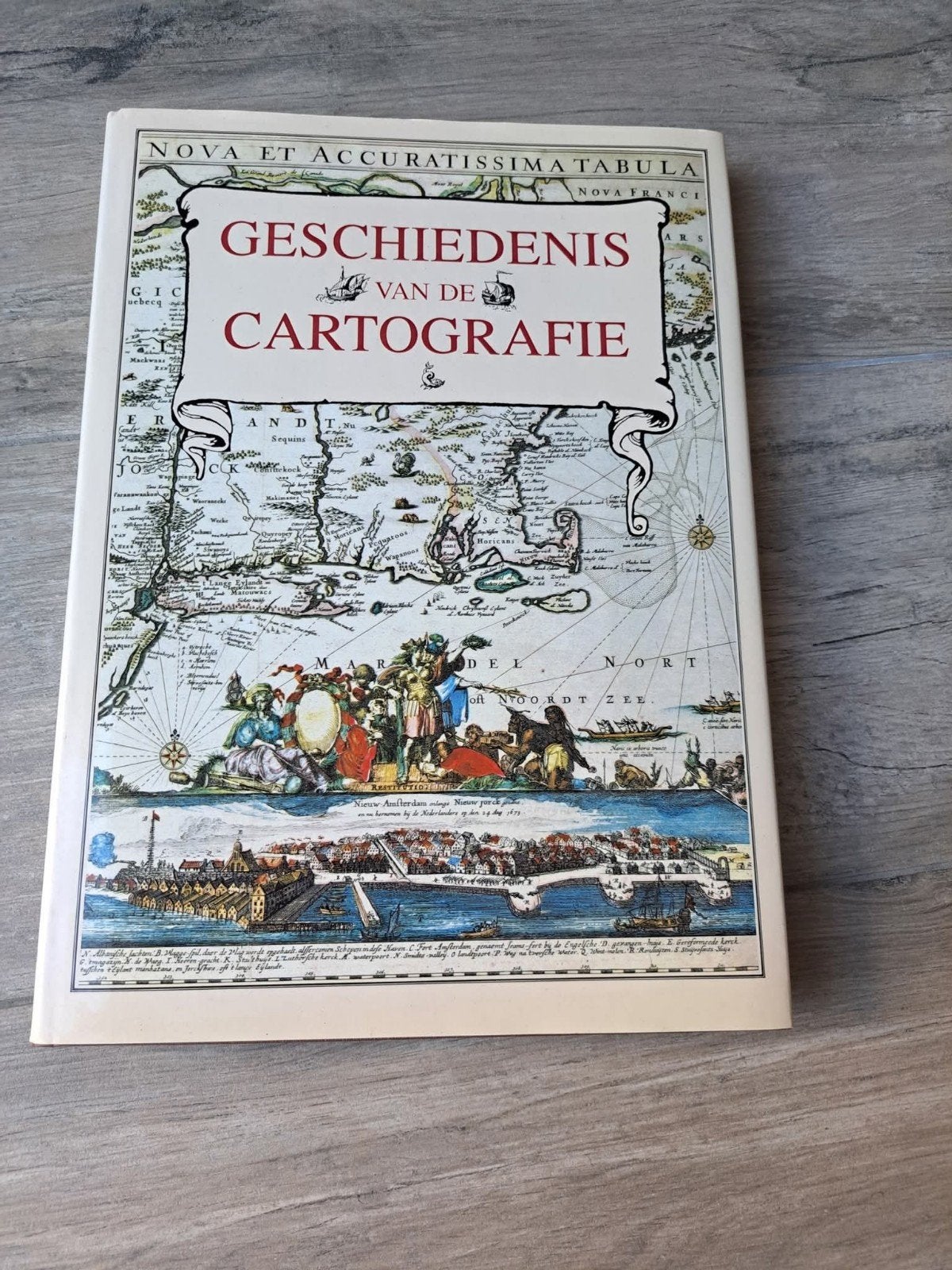 Geschiedenis van de cartografie, Gelezen, Ophalen of Verzenden, Landkaart, 1800 tot 2000