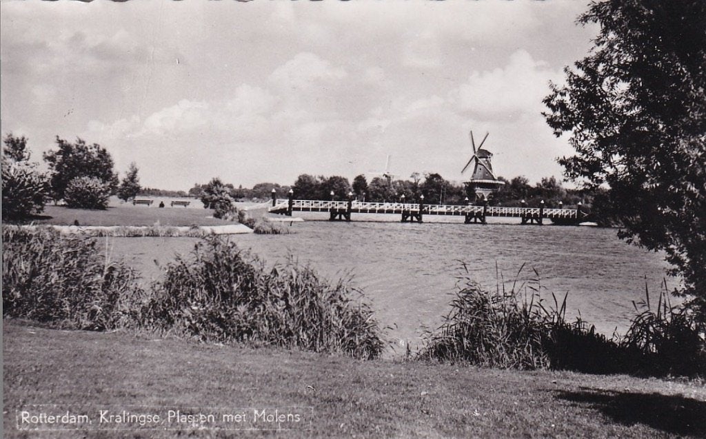 741D Rotterdam Kralingseplas met molen, Ophalen of Verzenden, 1940 tot 1960, Gelopen, Zuid-Holland
