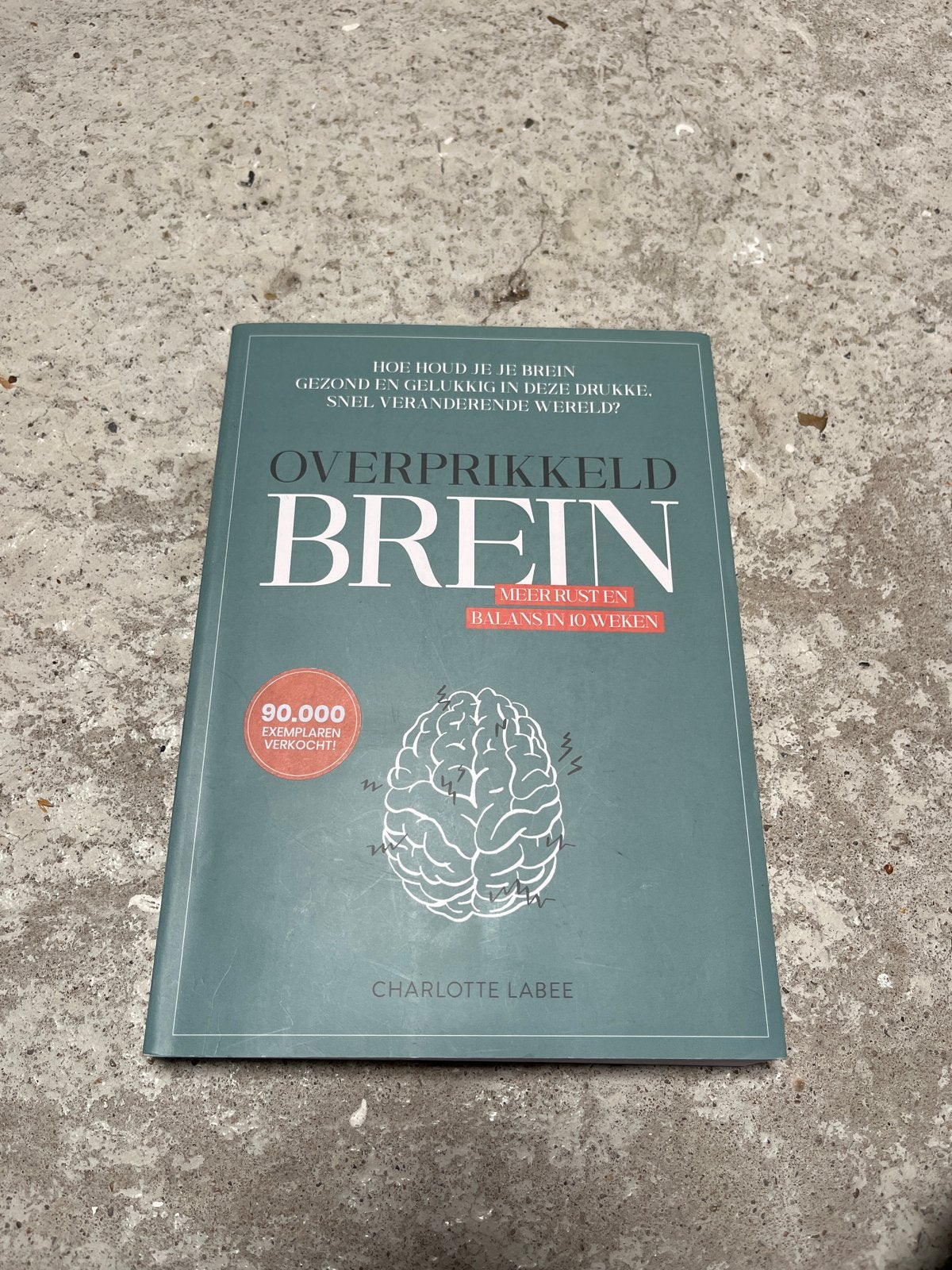 Overprikkeld Brein - Meer rust en balans in 10 weken, Boeken, Ophalen of Verzenden, Zo goed als nieuw, Overige onderwerpen