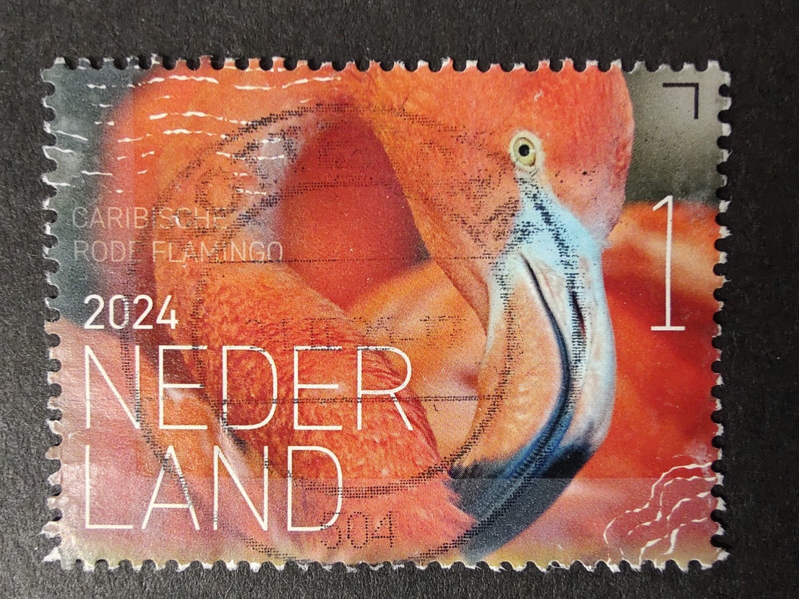 4168 rode flamingo 2024 beleef de natuur, Postzegels en Munten, Ophalen of Verzenden