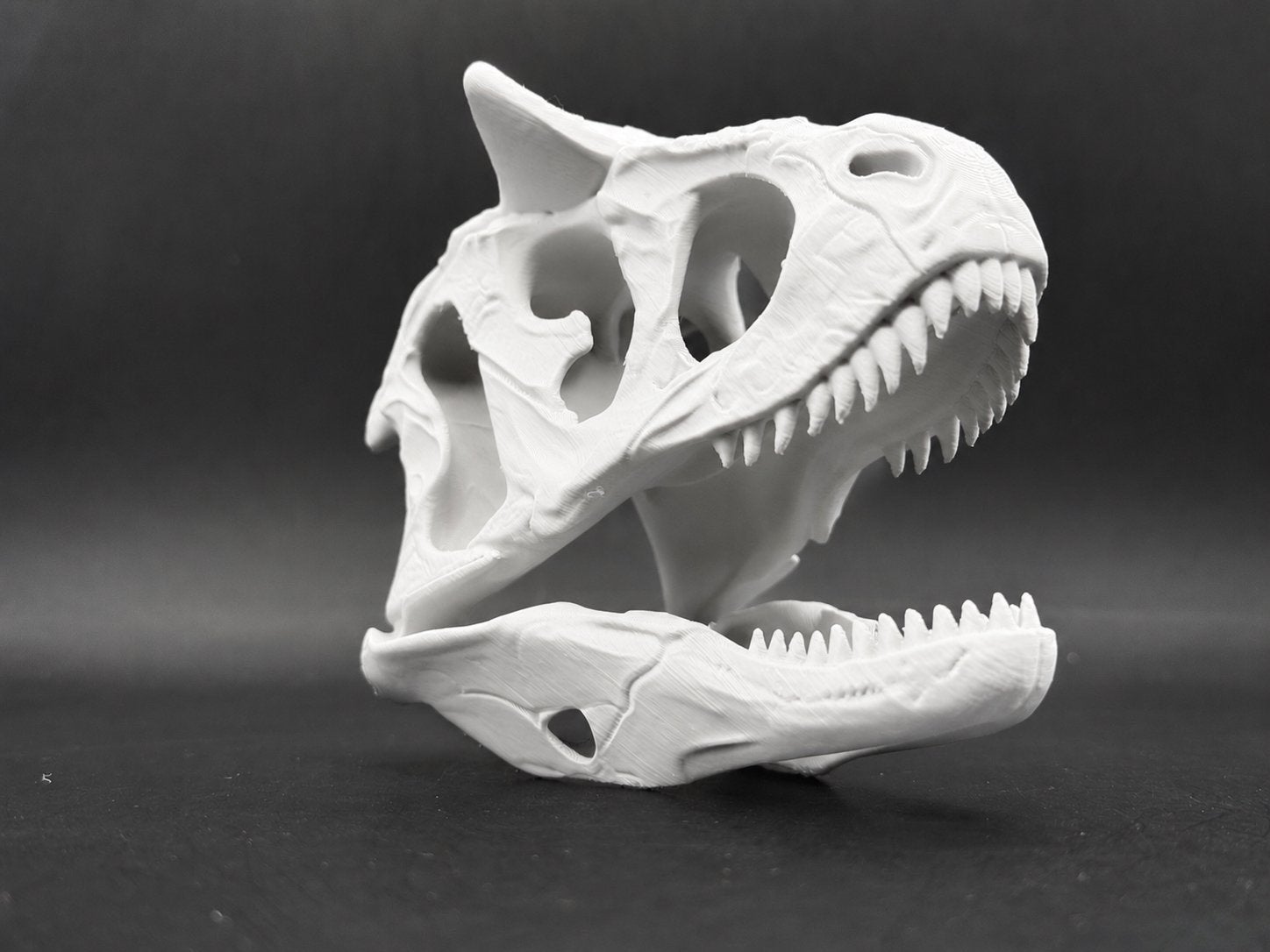 3D Geprinte carnotaurus Schedel - Decoratief Model, Verzenden, Nieuw, Overige soorten, Schedel