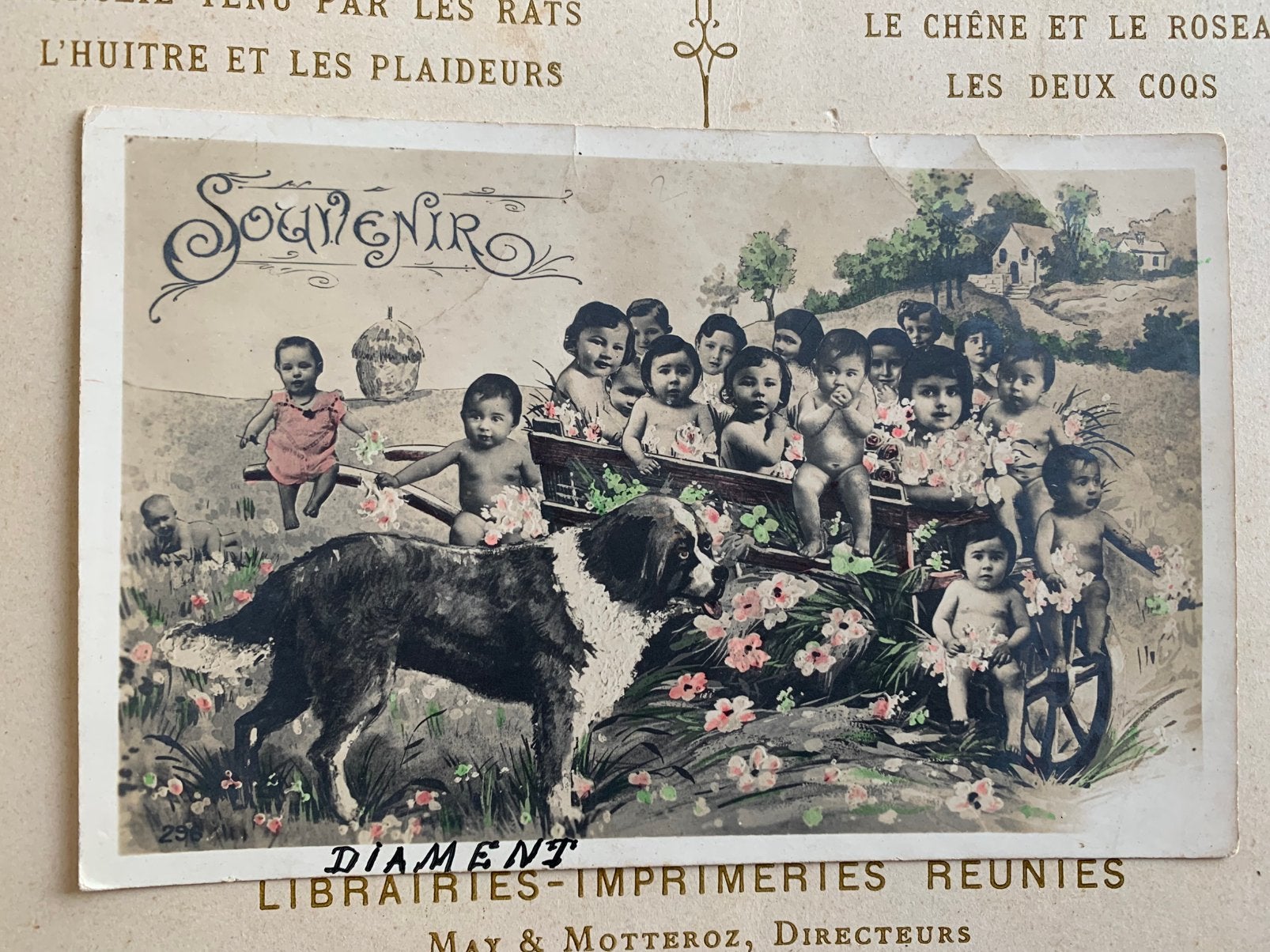Baby’s en een Sint Bernhard hond (BA), Verzamelen, Ansichtkaarten | Themakaarten, Ophalen of Verzenden, Voor 1920, Gelopen, Kinderen
