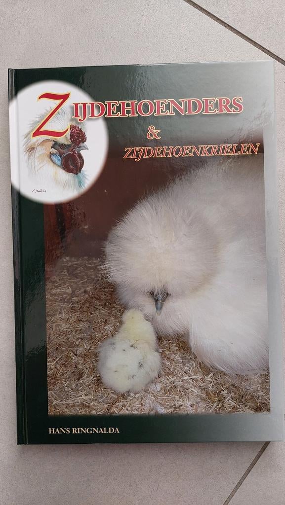 Zijdehoenders & Zijdehoenkrielen - Hans Ringnalda, Hans Ringnalda, Nieuw, Ophalen of Verzenden, Pluimvee