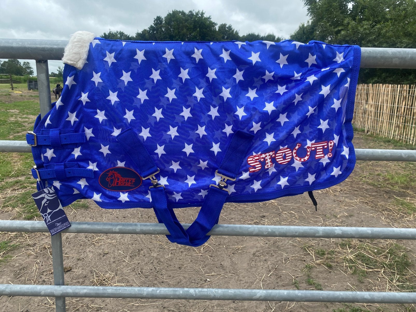 Nieuwe stout vliegendekens, Dieren en Toebehoren, Paarden en Pony's | Dekens en Dekjes, Ophalen of Verzenden, Nieuw