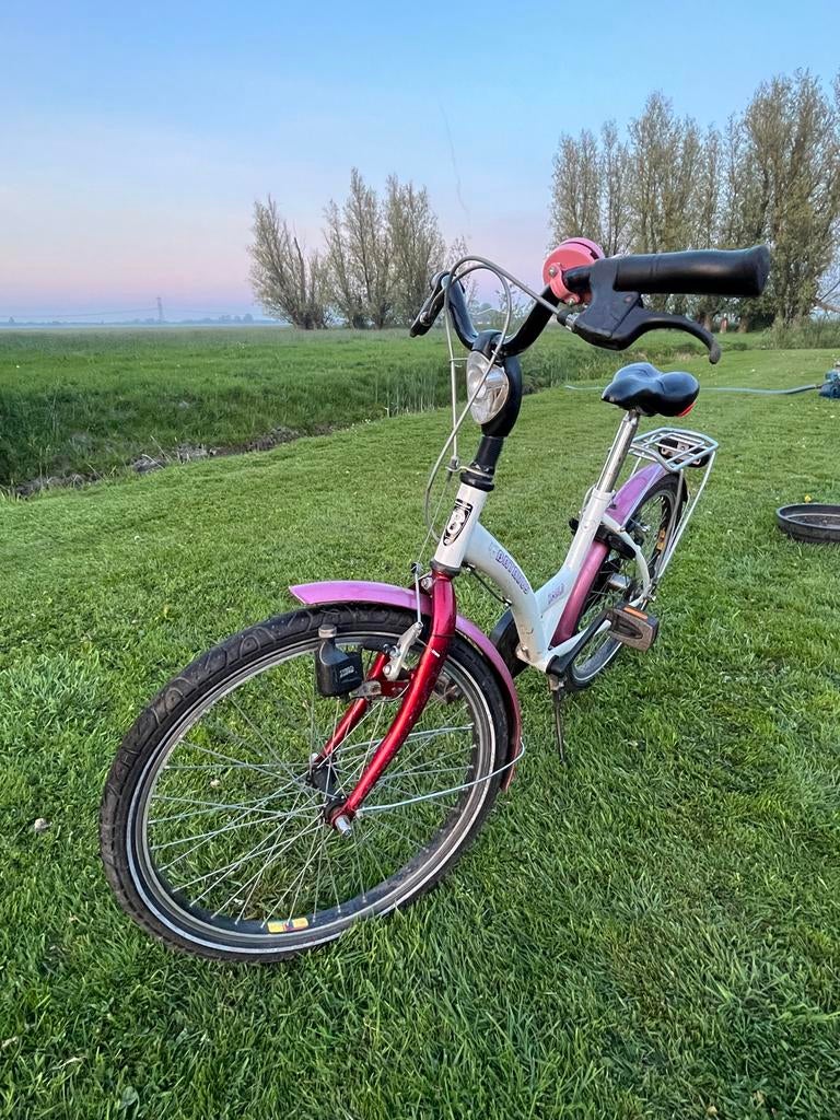 Batavus Koala kinderfiets 22 inch, Ophalen, Gebruikt, 20 inch of meer