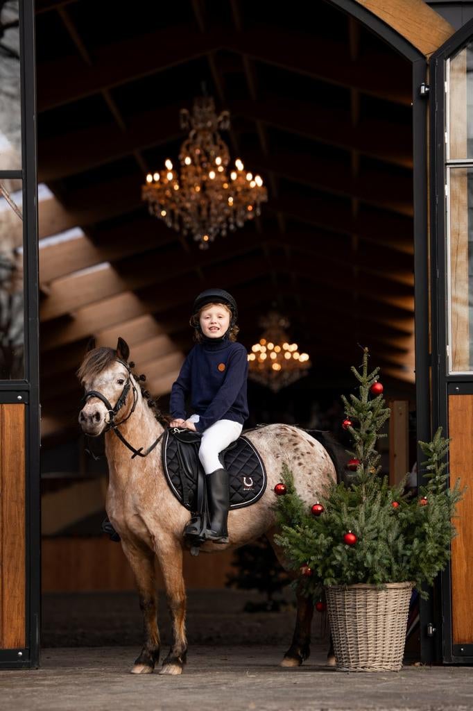 Super Gave Bixie A pony, B, A pony (tot 1.17m), 11 jaar of ouder, Merrie