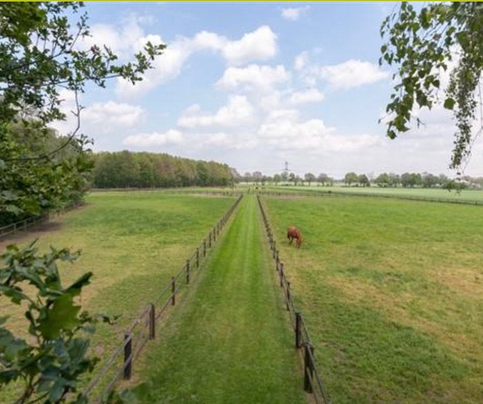Luxe pensionstal heeft enkele stallen vrij., Weidegang, 4 paarden of pony's of meer