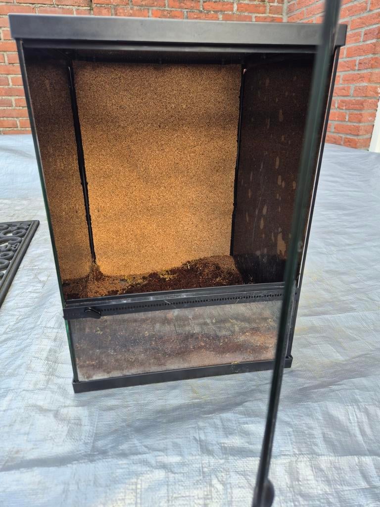 Terrarium 30x30x42, Dieren en Toebehoren, Reptielen en Amfibieën | Toebehoren, Ophalen