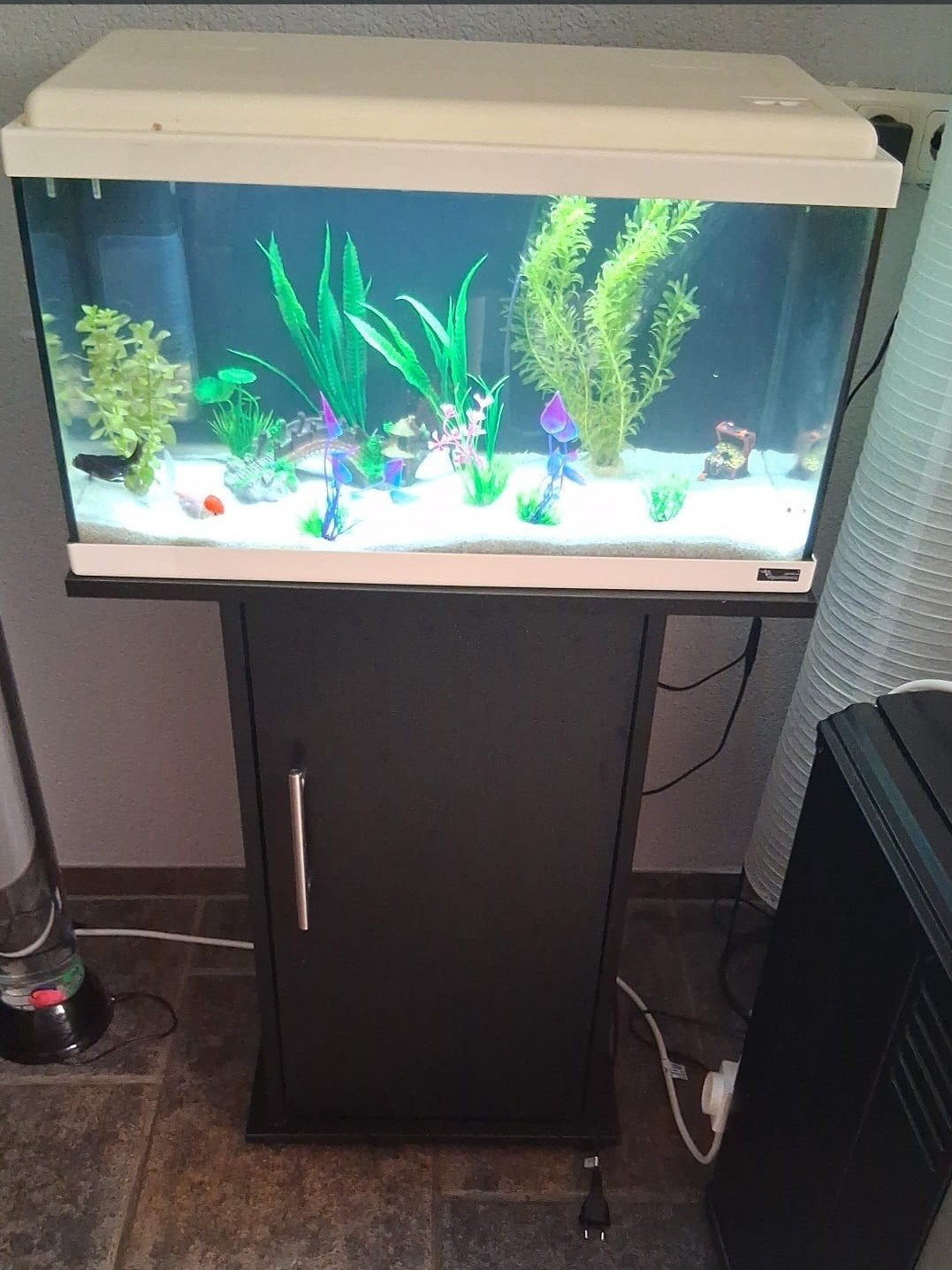 aquarium te koop, Dieren en Toebehoren, Vissen | Aquaria en Toebehoren, Ophalen, Leeg aquarium