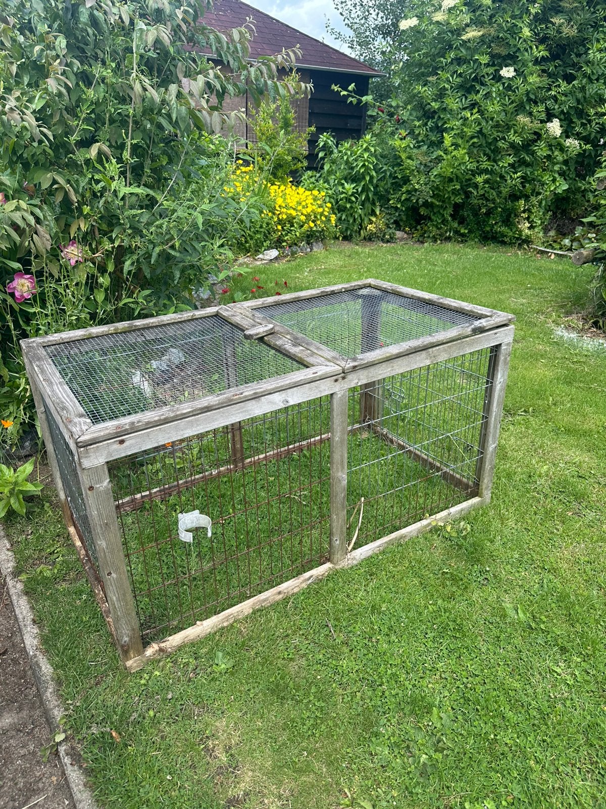 Gratis buitenren, Dieren en Toebehoren, Knaagdieren en Konijnen | Hokken en Kooien, 110 cm of meer, Zo goed als nieuw, Ren, Cavia