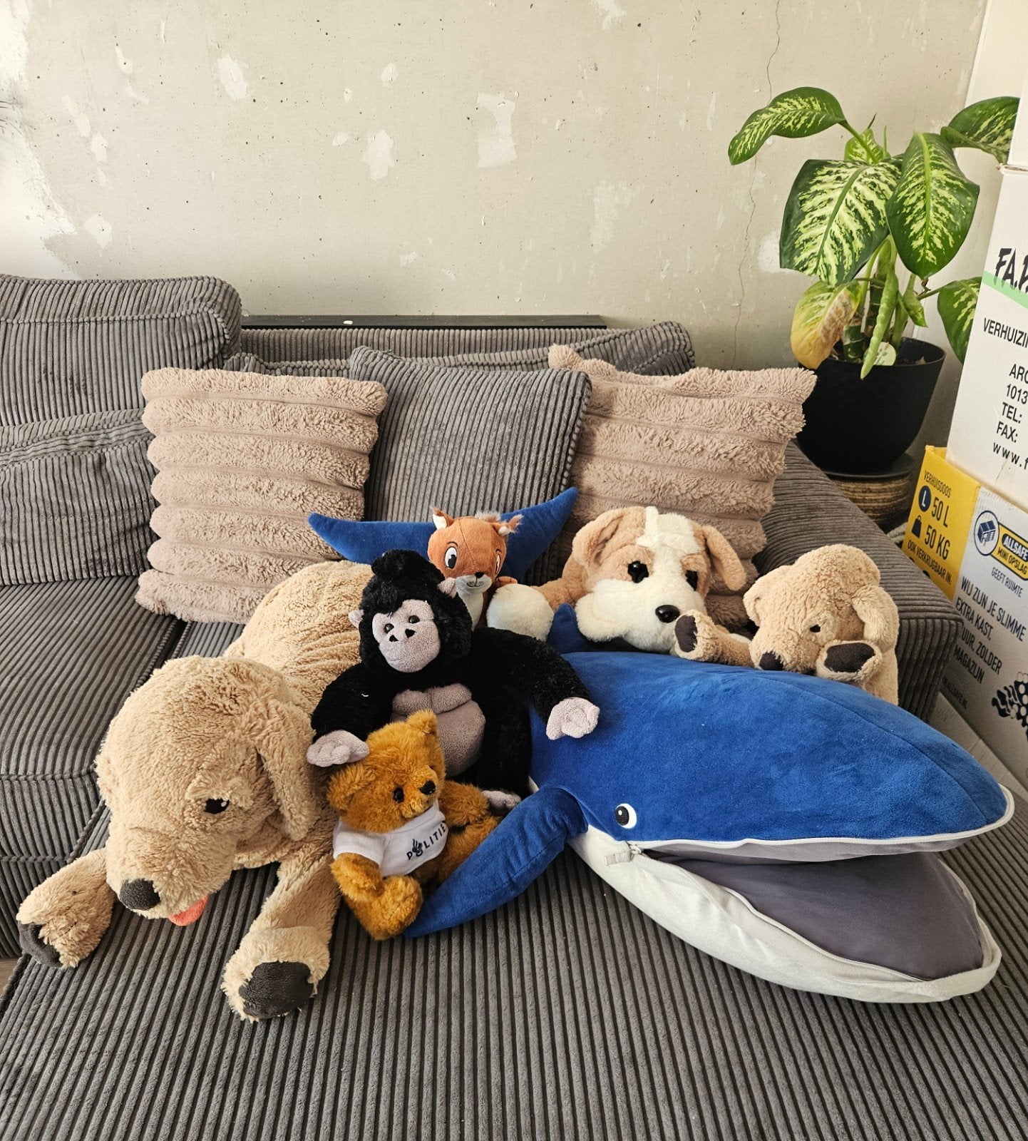 Grote knuffels (walvis, hond, etc.) wegens verhuizing, Ophalen, Zo goed als nieuw, Hond