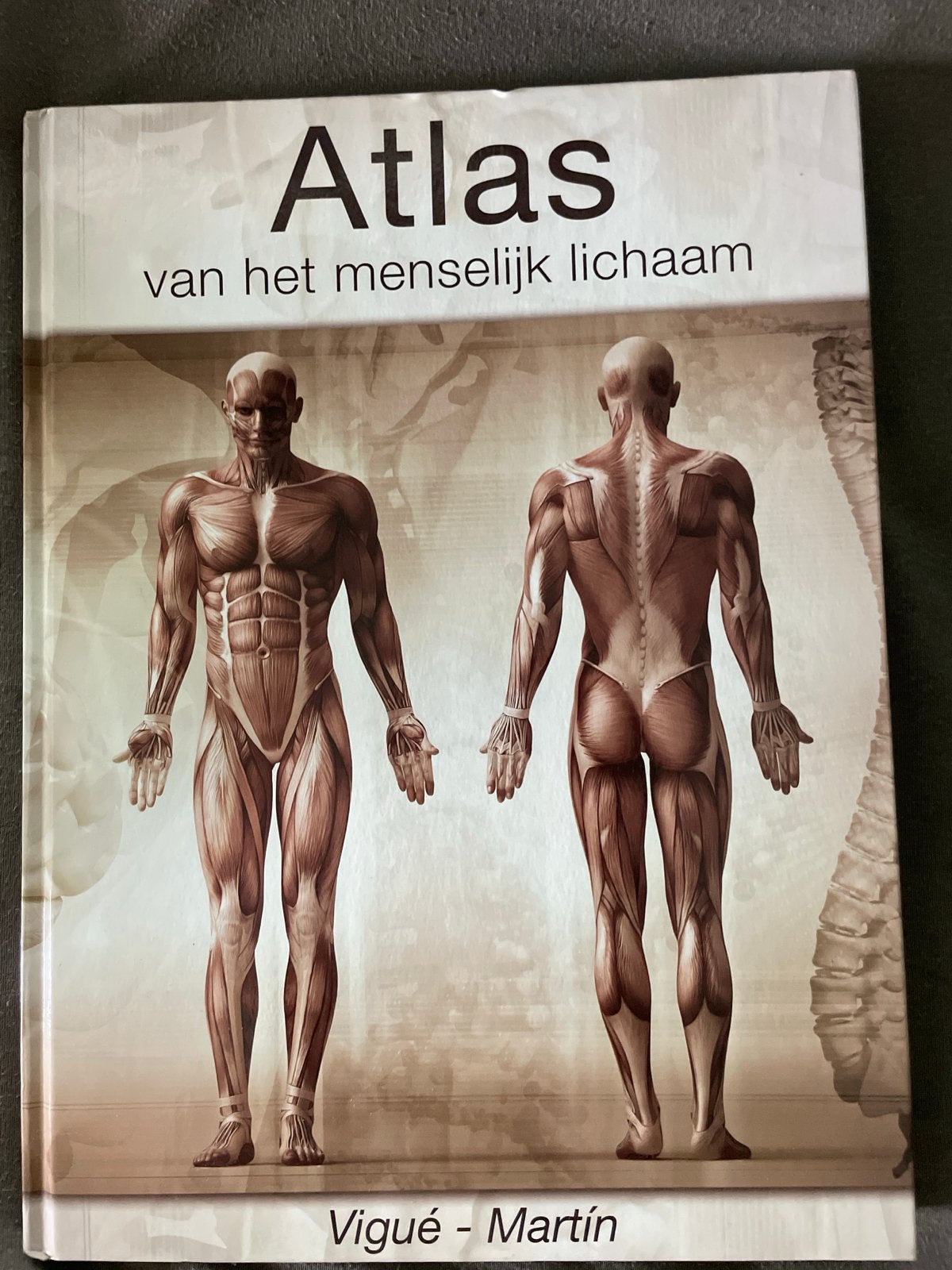 Atlas van het menselijk lichaam - Vigué - Martín, Boeken, Ophalen of Verzenden, Zo goed als nieuw, Gezondheid en Conditie