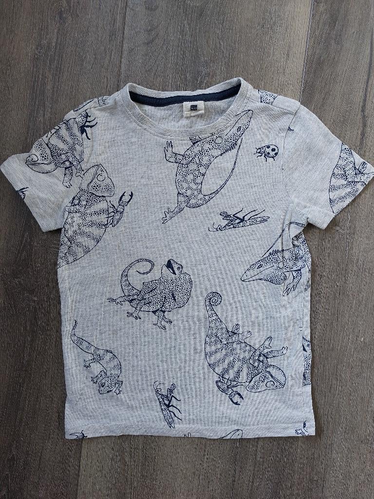 Jongens t-shirt kameleon, mt 110, Ophalen of Verzenden, Zo goed als nieuw, Jongen, Shirt of Longsleeve