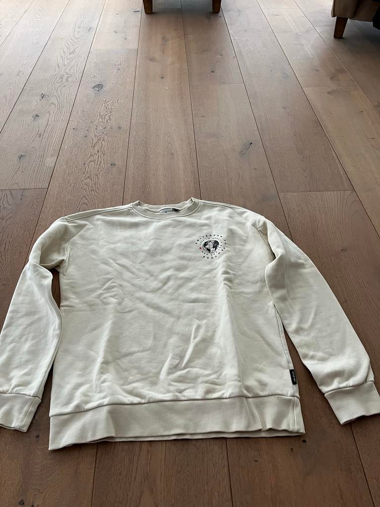 Retour DNM Crèmekleurige Sweater met Print mt 176 - Maat L, Ophalen of Verzenden, Zo goed als nieuw, Jongen, Trui of Vest