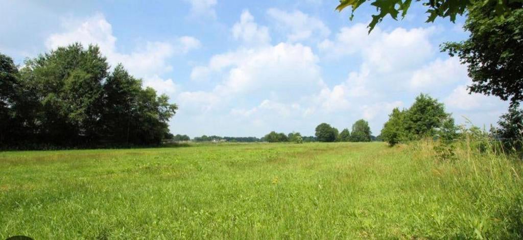 Gezocht weiland paterswolde of omgeving huur / koop, Dieren en Toebehoren, Weidegang, 2 of 3 paarden of pony's