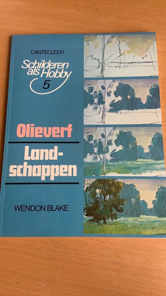 Schilderen als hobby 5 - Olieverf - Landschappen, Ophalen of Verzenden, Zo goed als nieuw, Tekenen en Schilderen