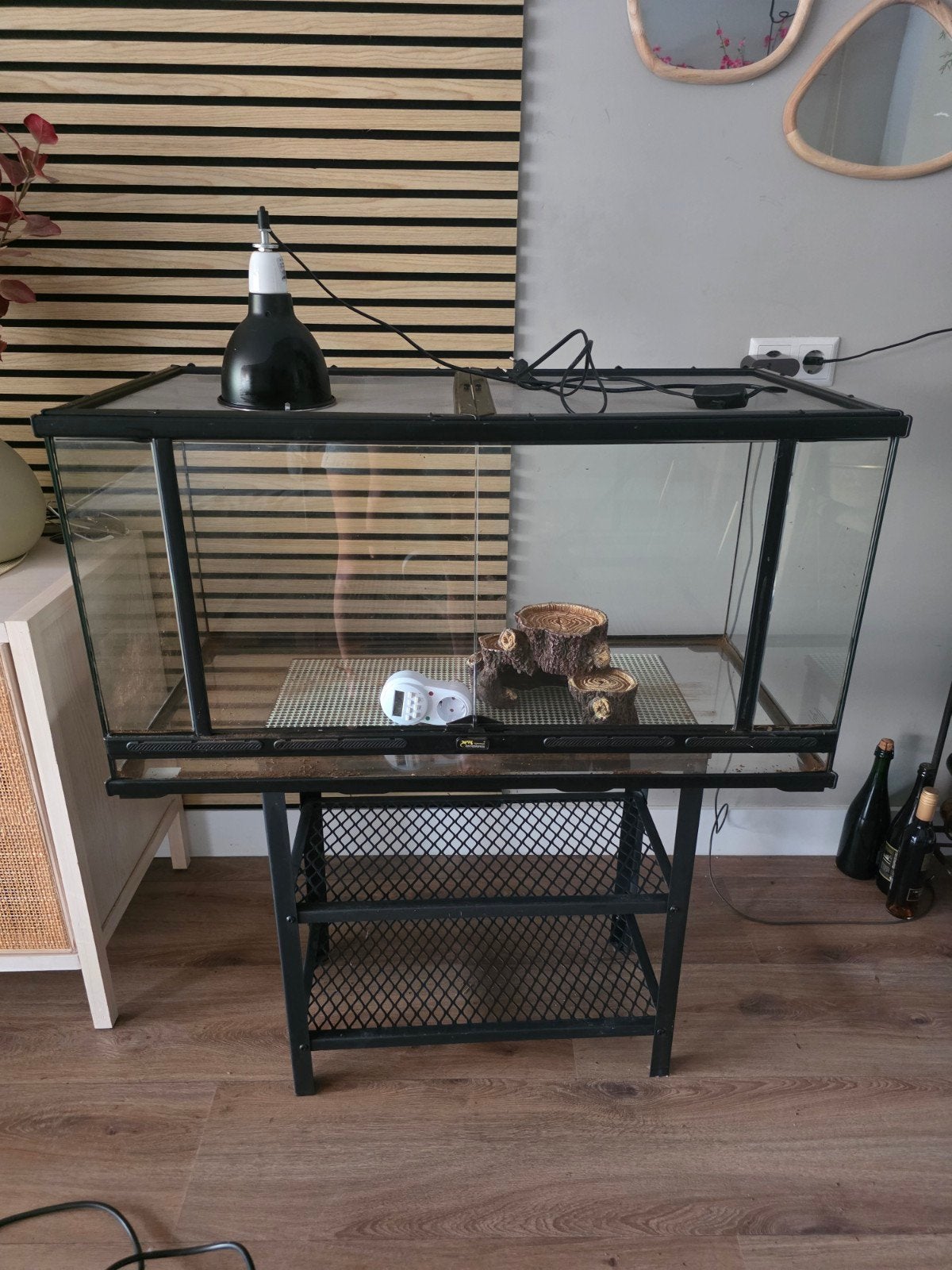 terrarium met warmtelamp, Ophalen, Zo goed als nieuw, Terrarium of Paludarium