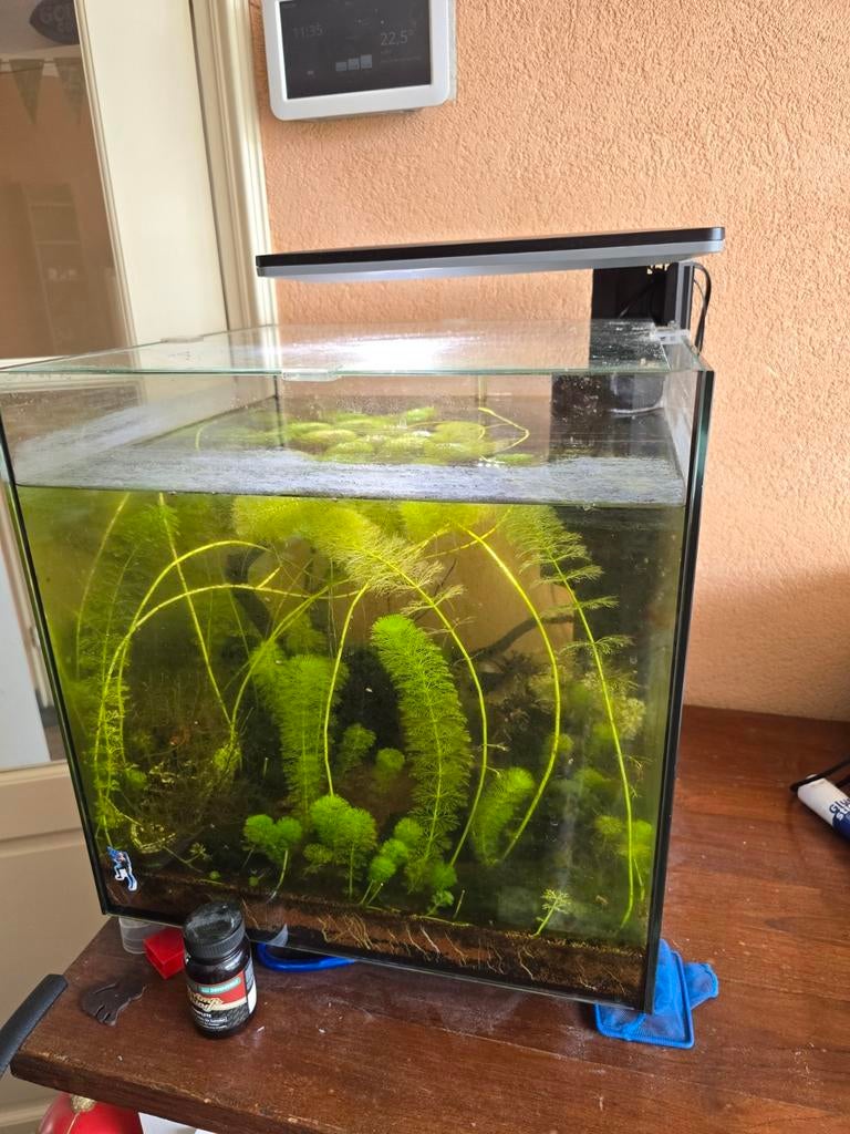  Superfish Qubiq 60 Pro Zwart, Dieren en Toebehoren, Ophalen, Gebruikt, Gevuld zoetwateraquarium, Inclusief deksel